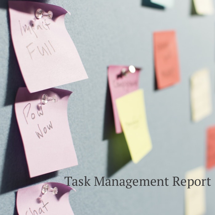 Task Management Report